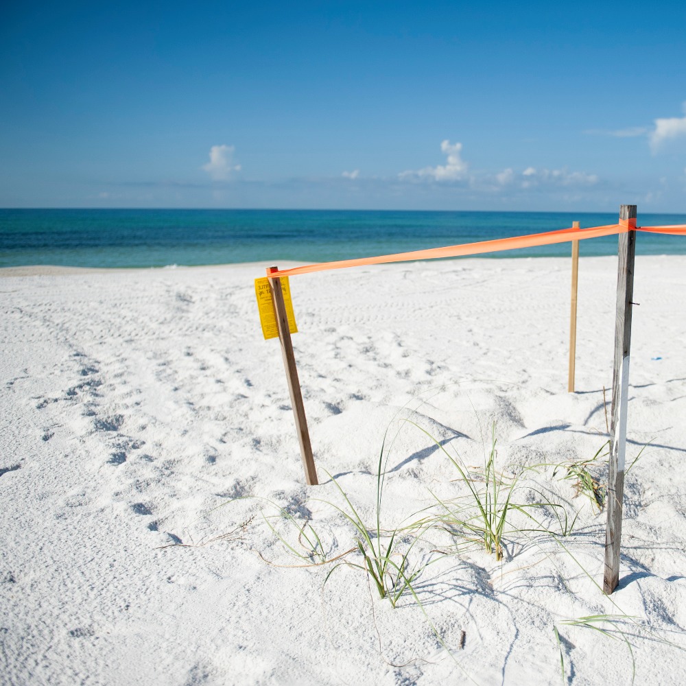 Meet your Posher, Ilka